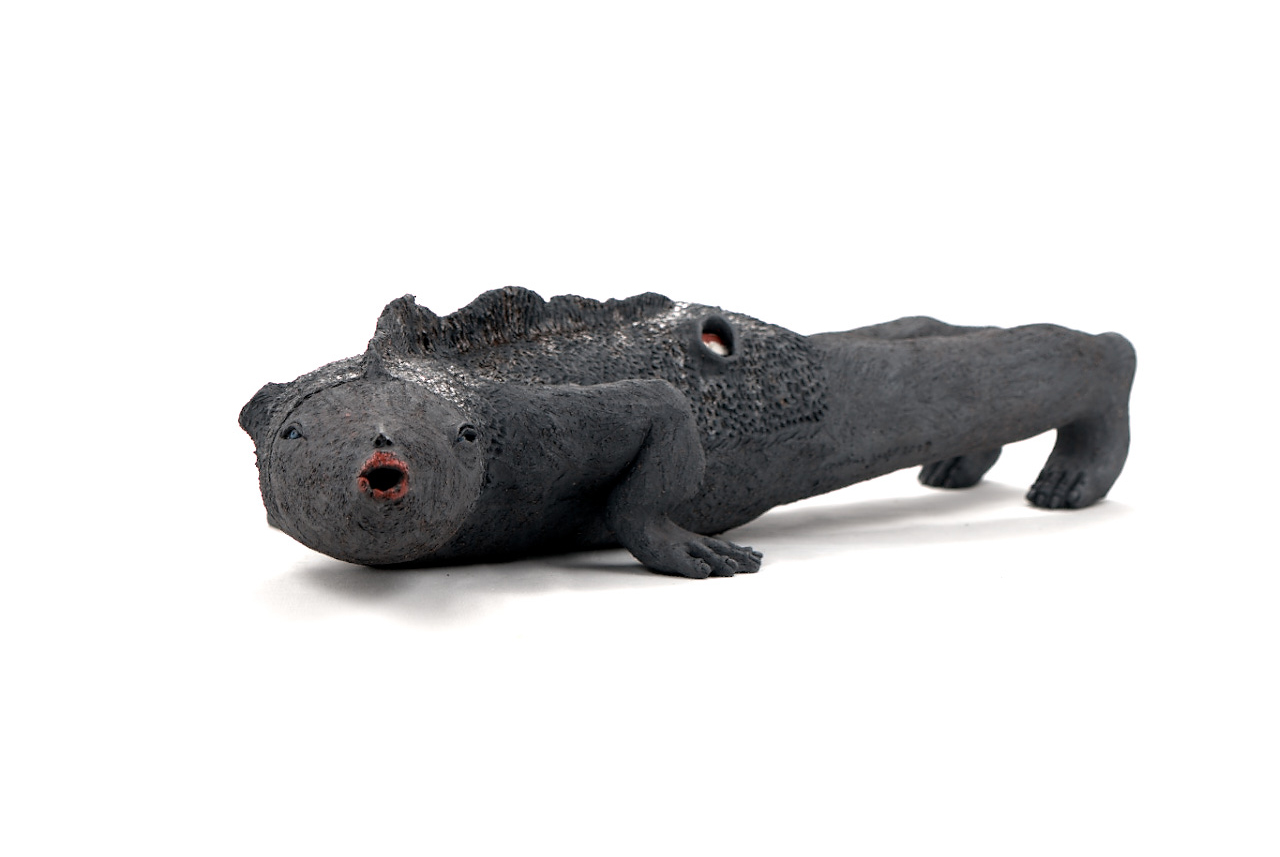 Hermapeixodita