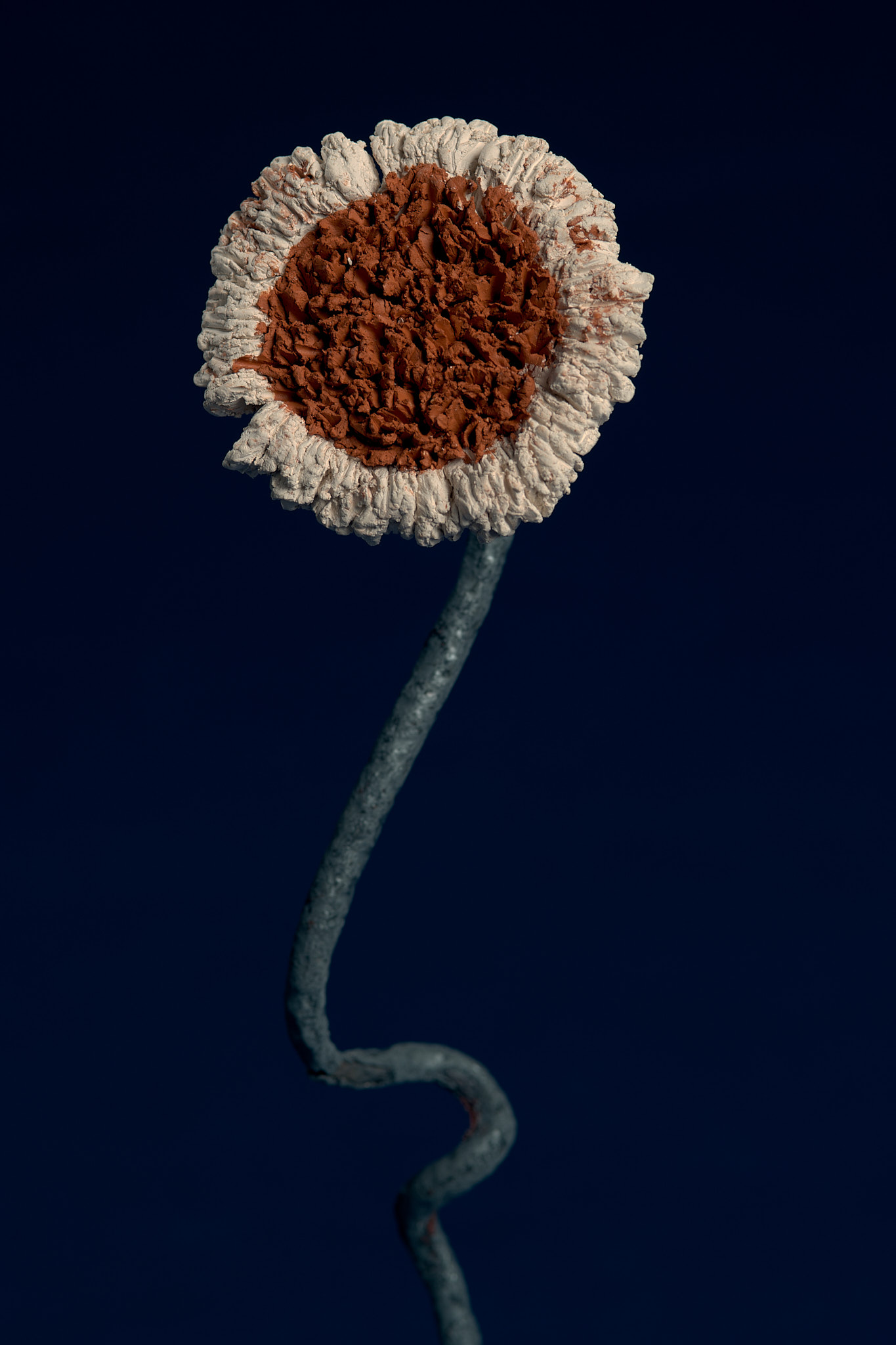 Flores Ferro Velho