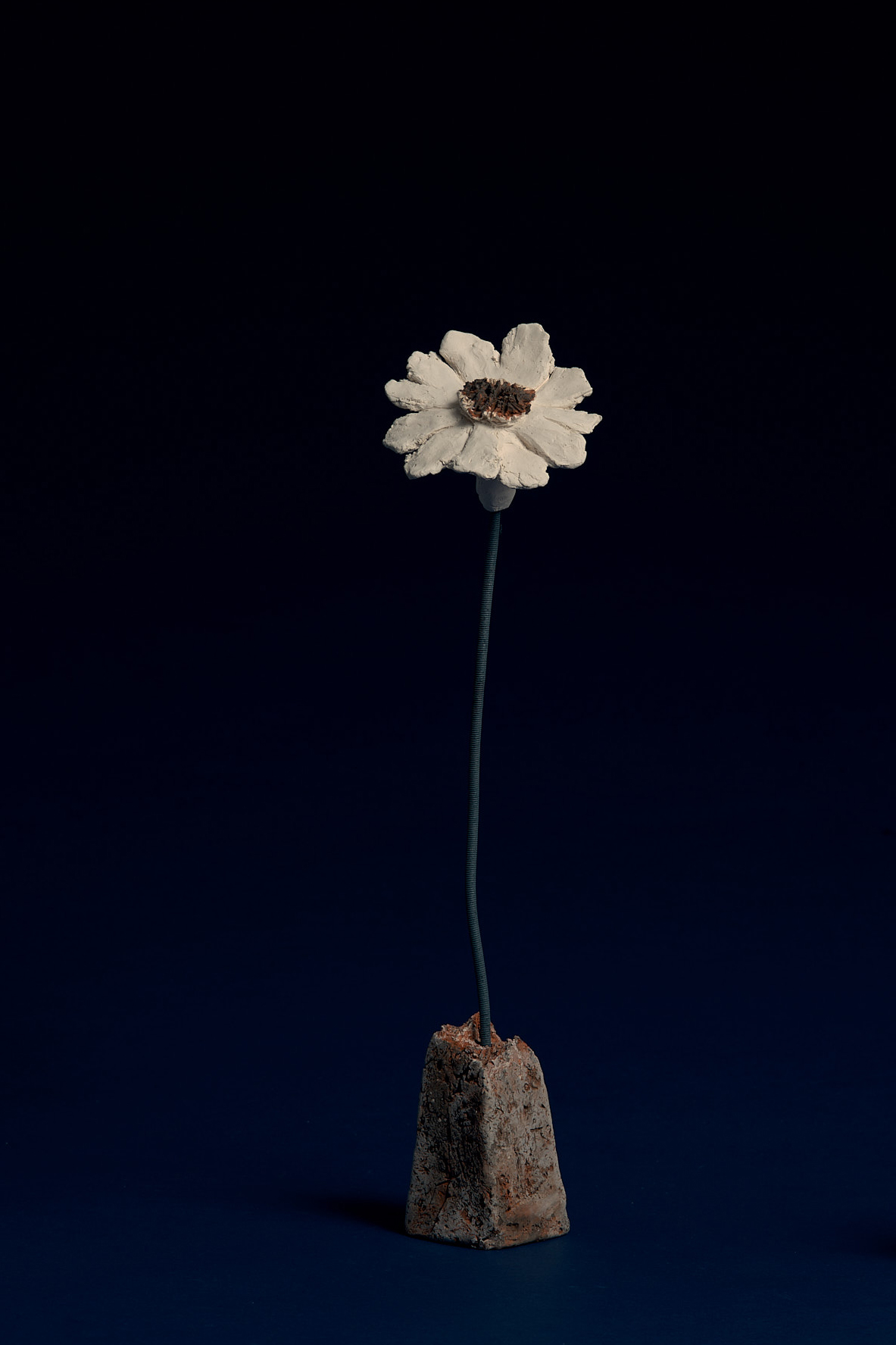 Flores Ferro Velho