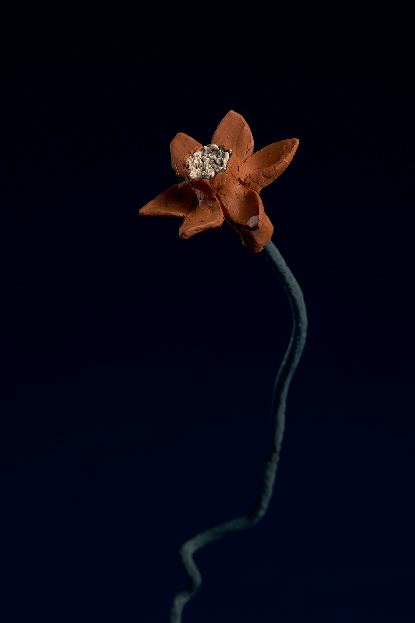 Flores Ferro Velho