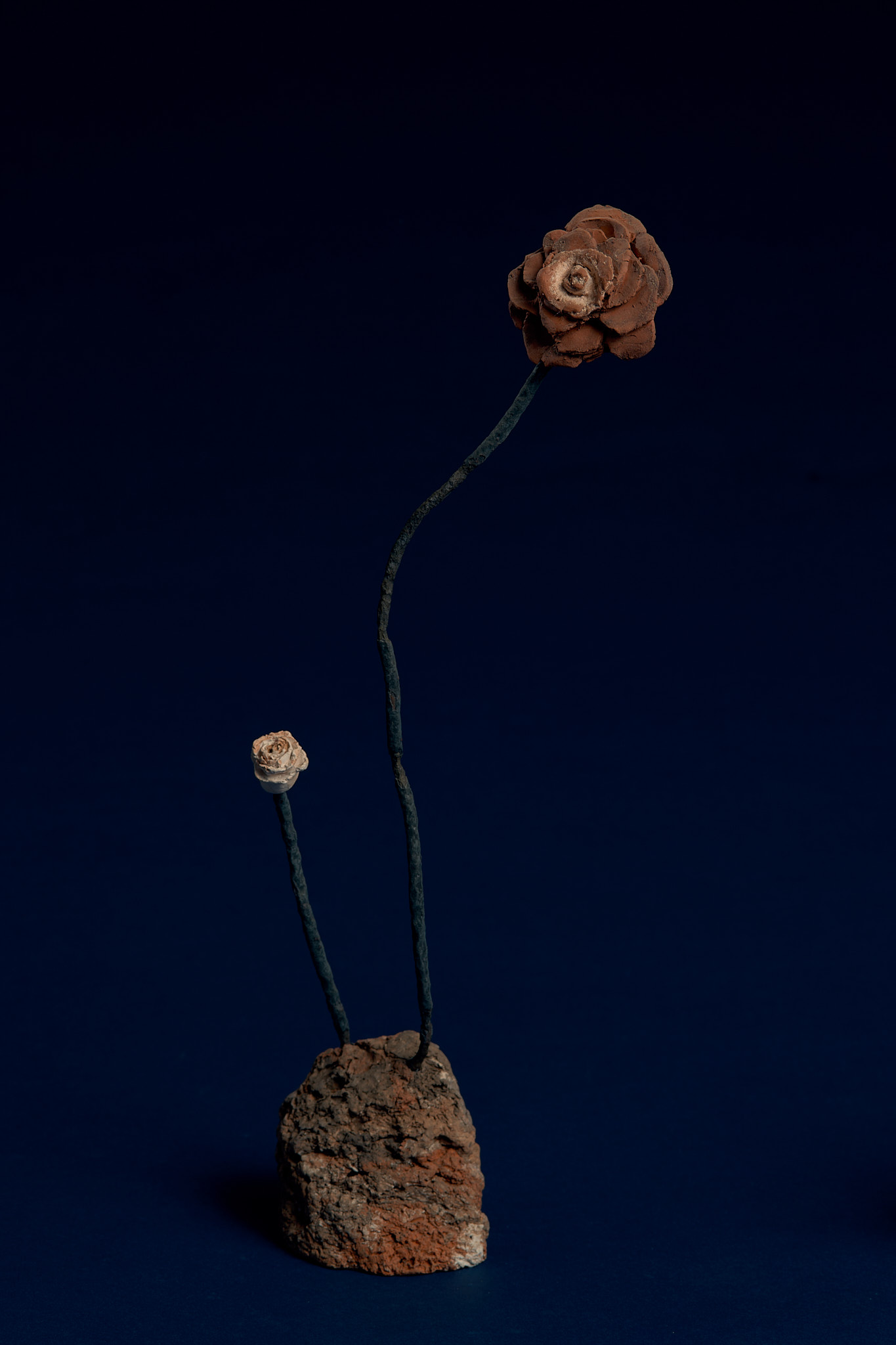 Flores Ferro Velho